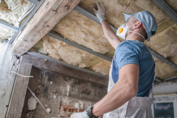 Best Insulation for Specific Applications in Johnsonville, SC