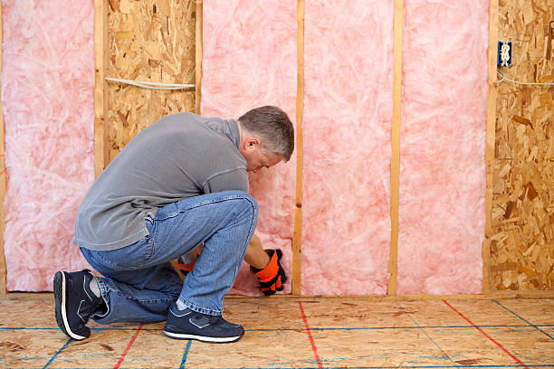 Best Energy Efficiency Solutions in Johnsonville, SC